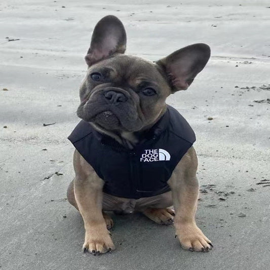The Dog Face Vest