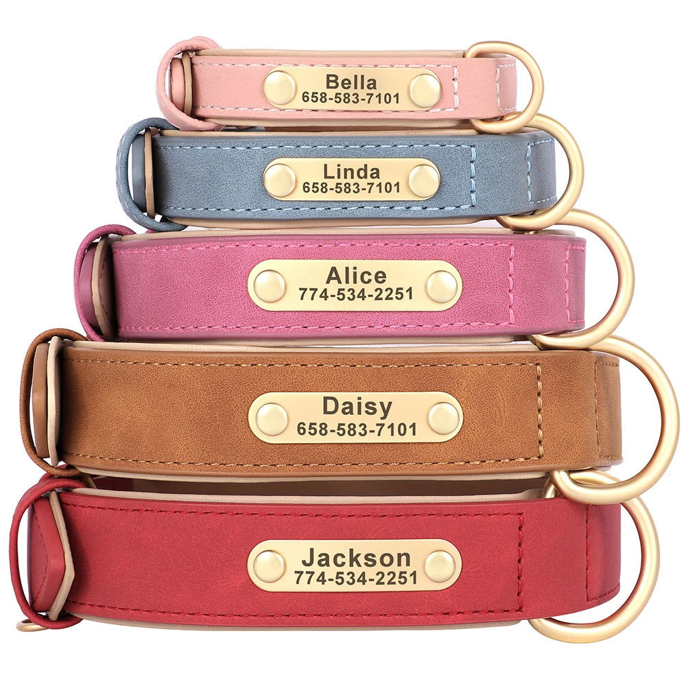 Leather Collar
