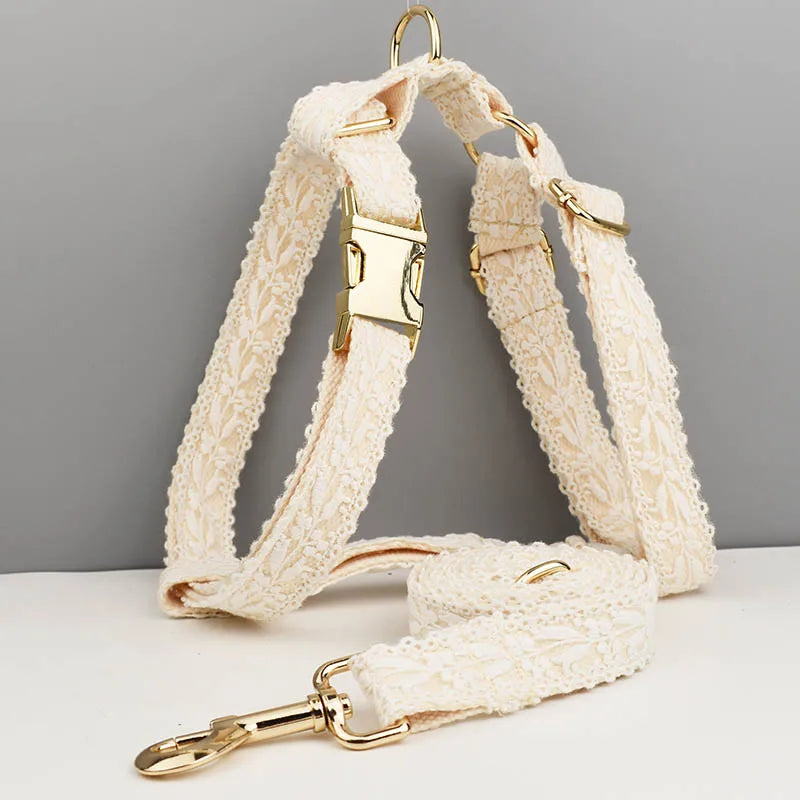 47874019918171|47874019983707|47874020049243|47874020082011