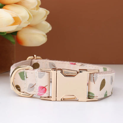 Custom Collar & Leash