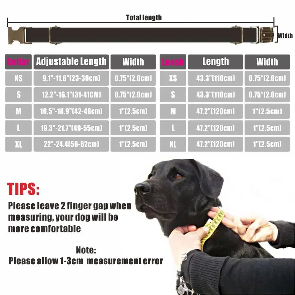 Personalized Collar & Leash