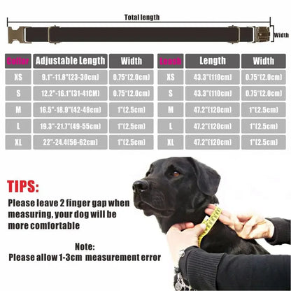 Personalized Collar & Leash