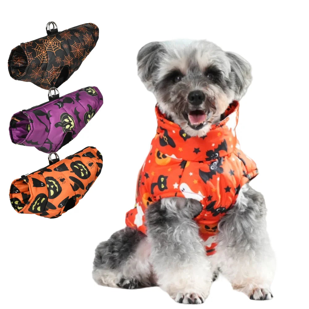 Pumpkin D-Ring Coat