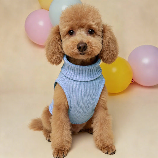 Cozy Knit Sweater