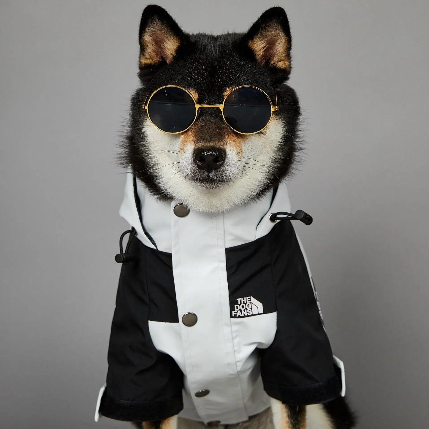The Dog Face Raincoat