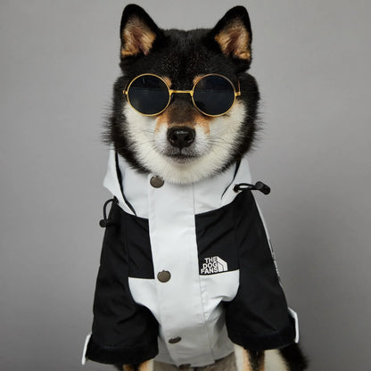 The Dog Face Raincoat