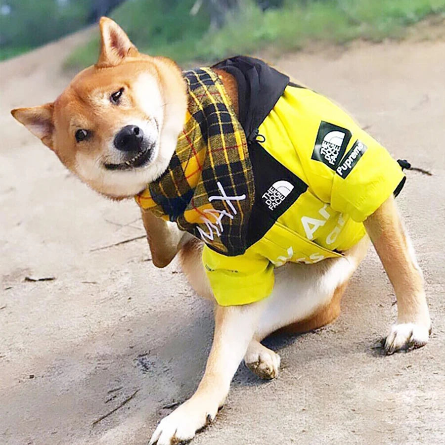 The Dog Face RaIncoat