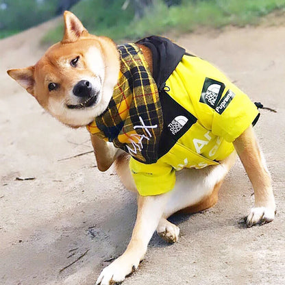 The Dog Face RaIncoat